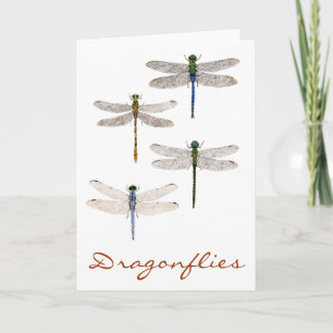 4 Dragonfly-soorten Kaart