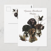 4 Duitse kortharige pointer kleuren Briefkaart (Voorkant / Achterkant)