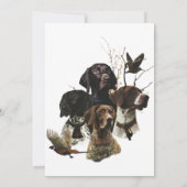 4 Duitse kortharige pointer kleuren Kaart (Achterkant)