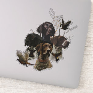 4 Duitse kortharige pointer kleuren Sticker