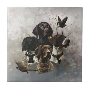 4 Duitse kortharige pointer kleuren Tegeltje