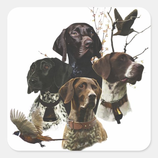 4 Duitse kortharige pointer kleuren Vierkante Sticker (Voorkant)