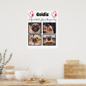 4 foto halsband voor honden collage - aangepaste f poster (Keuken)
