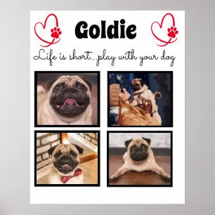4 foto honden collage - aangepaste gezinsdier heri poster