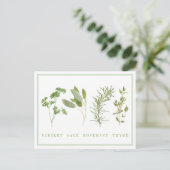 4 HERBES FAISES Carte postale (Debout devant)