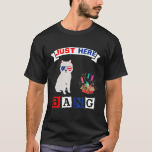 4 juli Amerikaanse vlag Vuurwerk Amerikaans Eskimo T-shirt