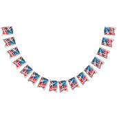 4 juli Thema Patriottische Bunting Vlaggetjes (Alle)