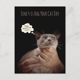4 juni is Knuffel je kat-dag Briefkaart