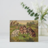 4 Katten die spelen met het Briefkaart van de Vint (Staand voorkant)