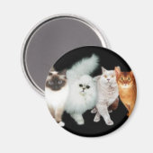 4 katten magneet (Voorkant / Achterkant)