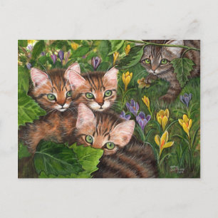 4 Kittens Crocus Briefkaart
