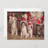 4 Kittens Kerst Kaart (Voorkant / Achterkant)