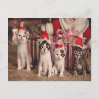 4 Kittens Kerst Kaart