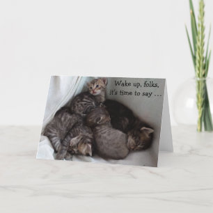 4 Kittens op een leuke Kaart