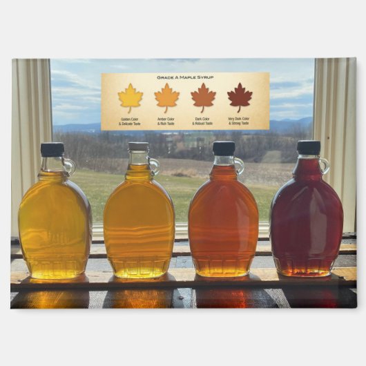 4 kwaliteiten van Maple Syrup Magnet Magneet (Voorkant)
