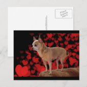 4 lbs Pure Love Briefkaart (Voorkant / Achterkant)