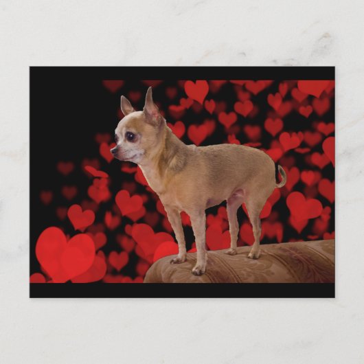 4 lbs Pure Love Briefkaart (Voorkant)