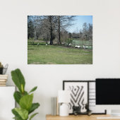 4 maart: Park Ducks Poster (Thuiskantoor)