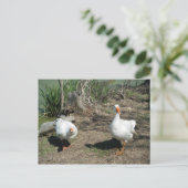 4 mars (63) Carte postale (Debout devant)