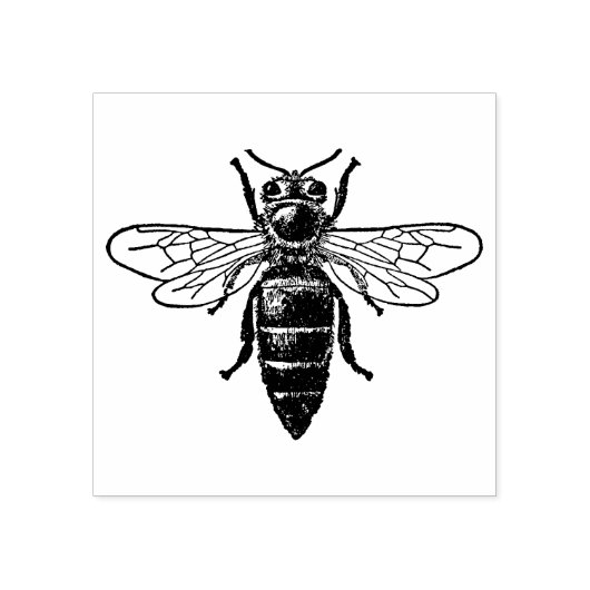 4 maten rubber stempel met retro afbeelding Bee (Afrduk)