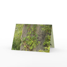 "4 ooit?" BREAK-UP wenskaart