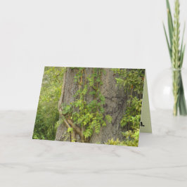 "4 ooit?" BREAK-UP wenskaart Kaart