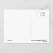 4 OOIT Mijn Liefde Briefkaart (Achterkant)