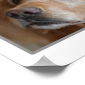 4 Poster photo (Coin)