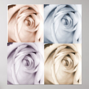4 rozen afdrukken poster