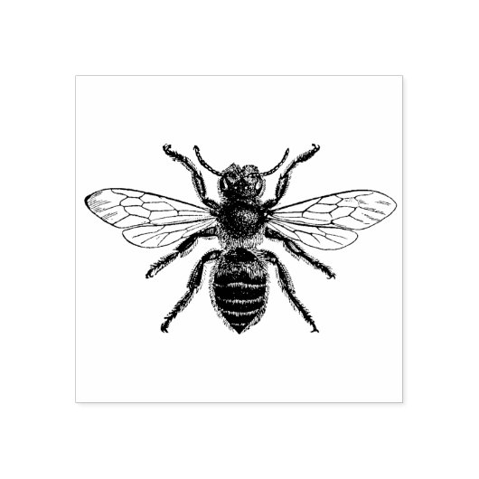 4 tailles tampon caoutchouc avec image rétro Bee (Impression)