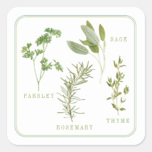 4 VERSE HERBS Kleine Stickers Square