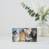 4 Visitekaartje met blauwe ogen Kittens (Staand voorkant)