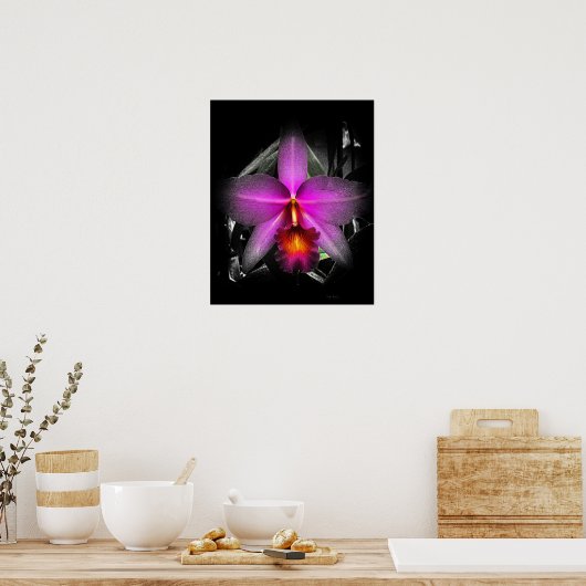 4 x5 zwart orchidee Ratio Afdruk Img5506 Poster (Keuken)