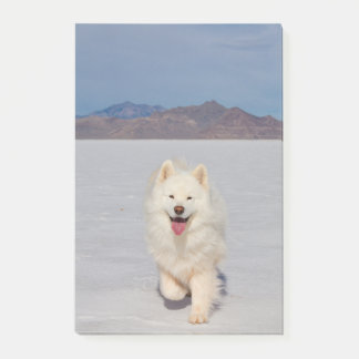 4"x6" Post-it Notities - Zoutvlakten Post-it® Notes