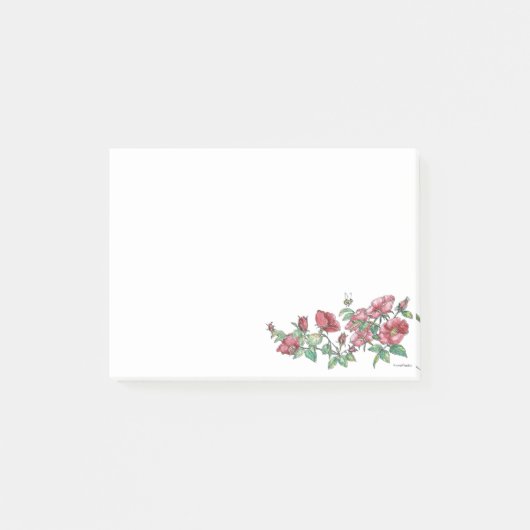 4 x 3 Alaska Sitka Rose avec notes post-it (Devant)