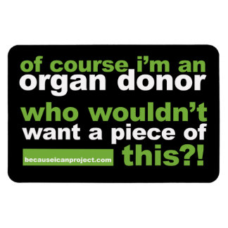 4 x 6 magneet - voor uw koelkast of auto!