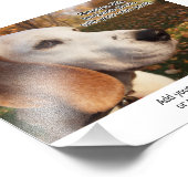 4 x 6 photo imprimer par zone pour ajouter la desc (Coin)