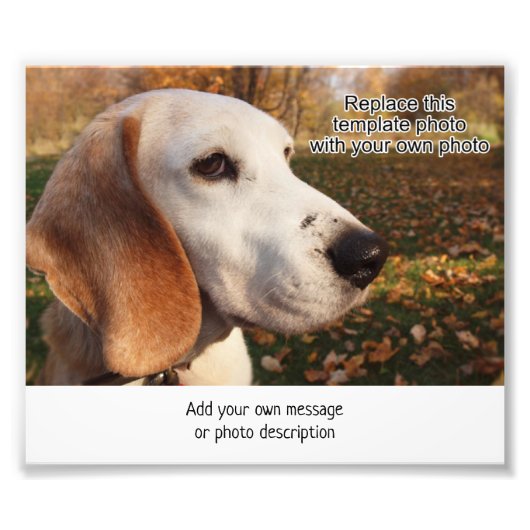 4 x 6 photo imprimer par zone pour ajouter la desc (Devant)