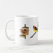 4 Zongvogels 2 Mok (Links)