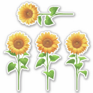 4 Zonnebloemstickers (helder) Sticker