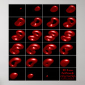 4d torus fly-through doorsnede poster (Voorkant)