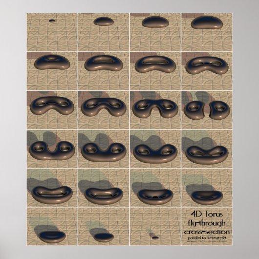 4D-torusvliegende doorsnede Poster (Voorkant)