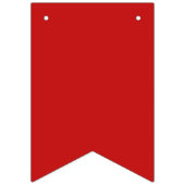 4e Bunting Flags Sterren en Stripes Vlaggetjes (Eerste vlag)