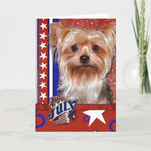 4e juli Firecracker - Yorkshire Terrier Kaart