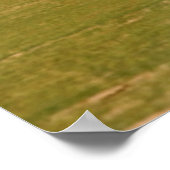 4X4 Voertuigen op Dirt Road, Gobi-woestijn Poster (Hoek)