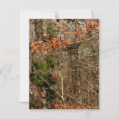 4x5 FLAT - Hartelijk dank voor uw kaart Deer Coupl (Achterkant)