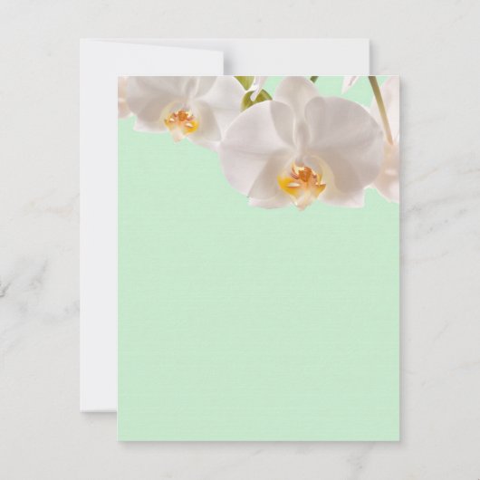 4x5 PLAT Carte de remerciements vert et orchidée (Dos)