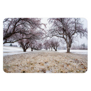 4x6 flat Magnet Magneet