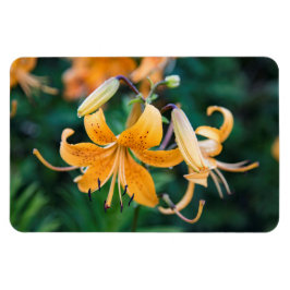 4x6 flat Magnet Magneet