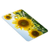 4x6 flat Magnet Magneet (Rechterzijde)